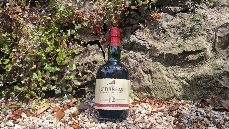 A bottle of Redbreast 12 Year Irish whiskey in front of a rock wall