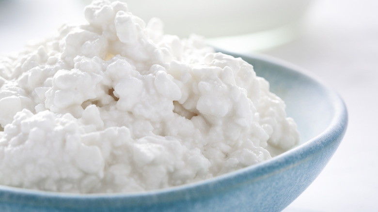 Close up of cottage cheese in blue bowl