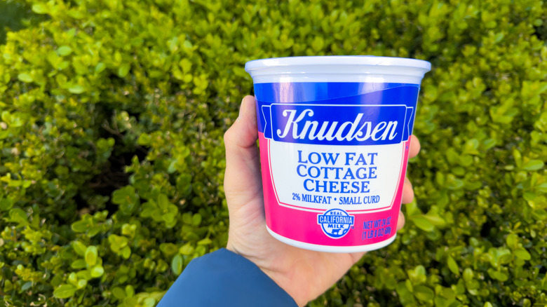 Hand holding tub of Knudsen low fat cottage cheese