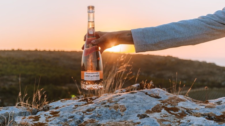 Hand holding bottle of Bertrand rosé in front of a sunset