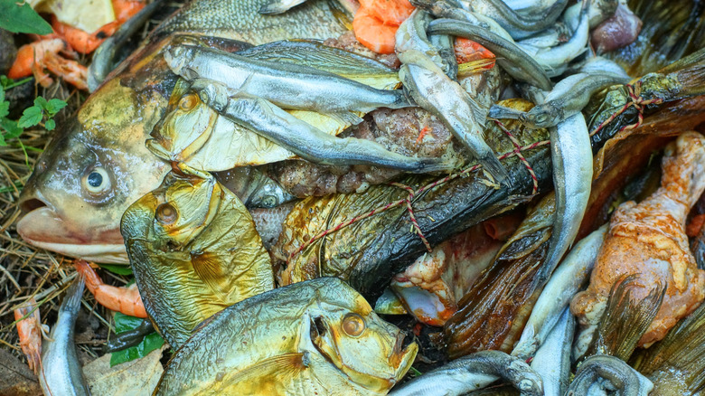 Pile of spoiled seafood