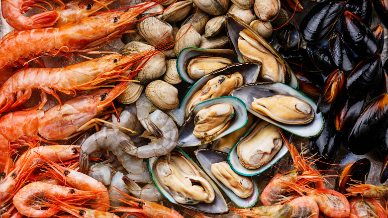 Various types of fresh shellfish