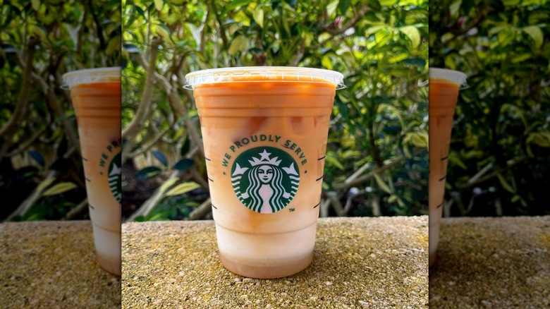 Starbucks Iced Caramel Macchiato on wall with green leaves in background