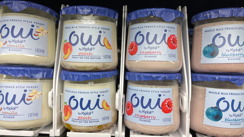 Food Lion grocery store variety OUI yogurt in a jar