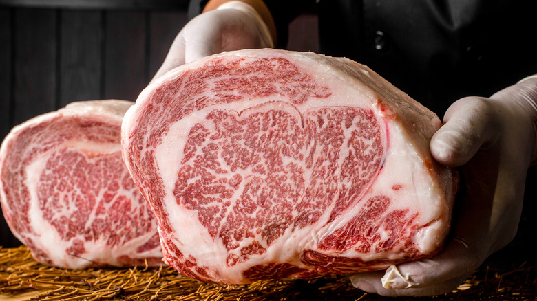 Gloved hands holding large chunk of Wagyu beef with another beside it on table.