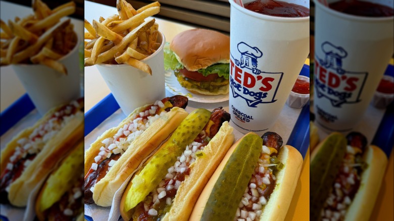 Three hot dogs with toppings, a cup of french fries, a burger, and a Ted's Hot Dogs-branded cup on a tray