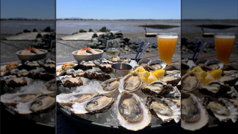 Platter of ice and oysters with a rocky beach in the background