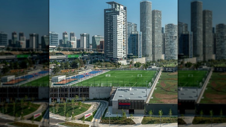 A camouflaged Costco in Mexico City