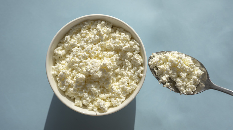 Bowl of cottage cheese in bright sunlight on blue background