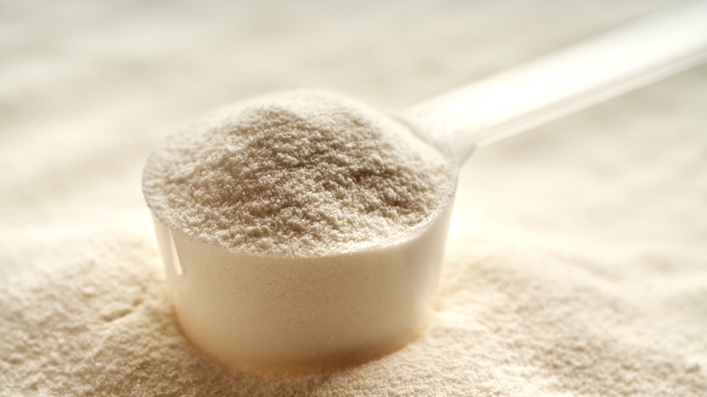 Scoop of hydrolyzed collagen powder