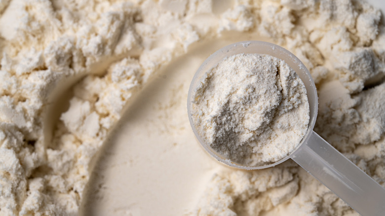 Close-up of protein powder with scoop