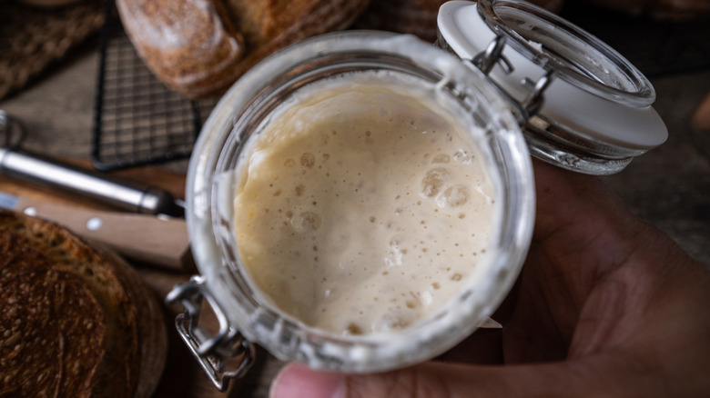 Top-down view our sourdough starter in jar