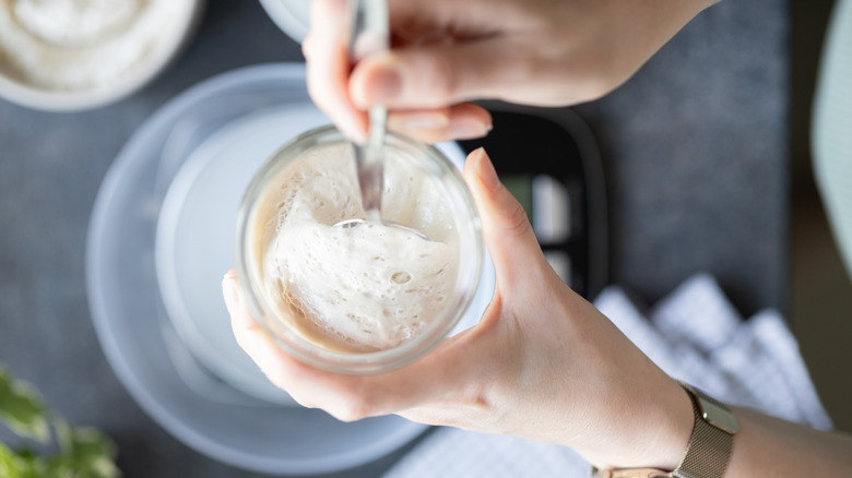 Top-down shot of woman's hands holding jar of sourdough starter