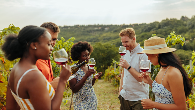 Group of people sniffing glasses of wine in a vineyard