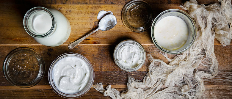 Homemade Yogurt 