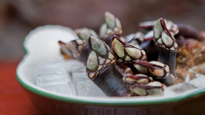 plate of percebes