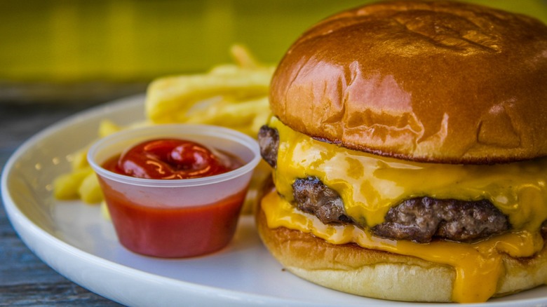Cheeseburger and fries on a plate
