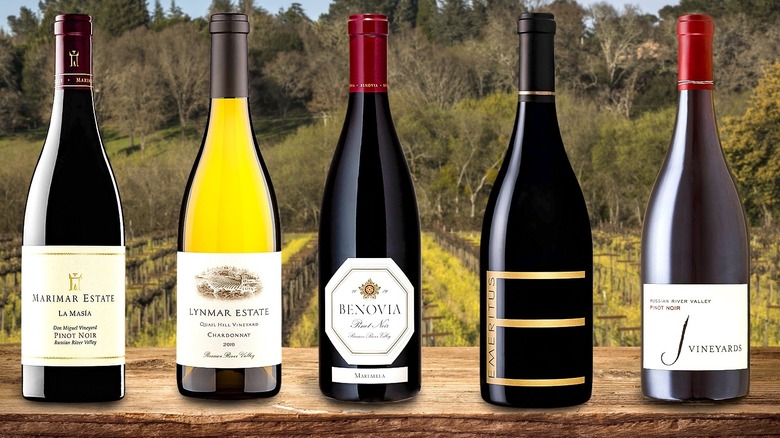 Russian River Valley wines