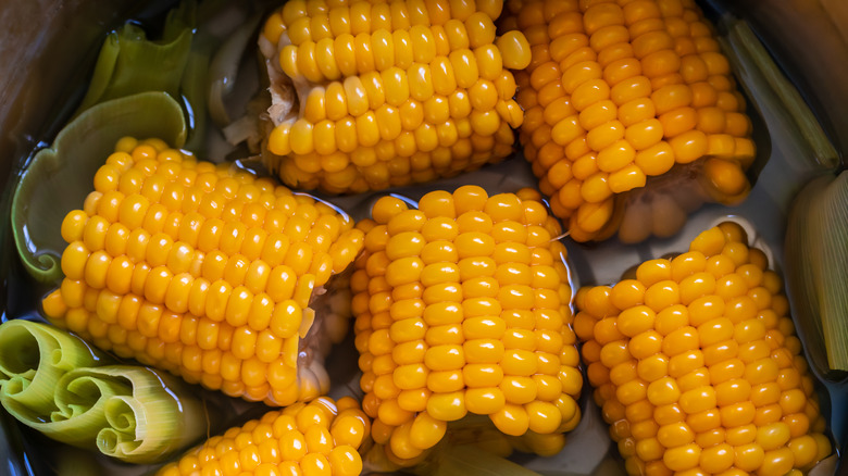 Cooked corn in a pot