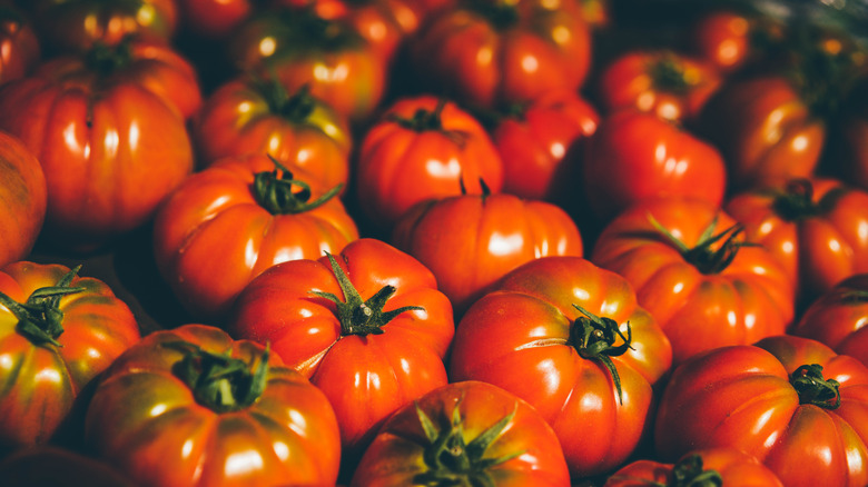 Close-up of gathered tomatoes