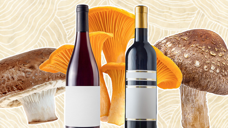 wine bottles and mushrooms