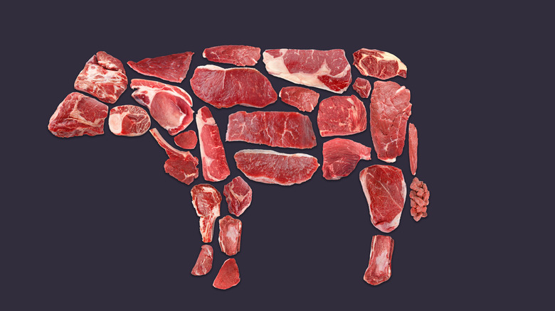 A diagram in the shape of a cow that is made up of various steak cuts
