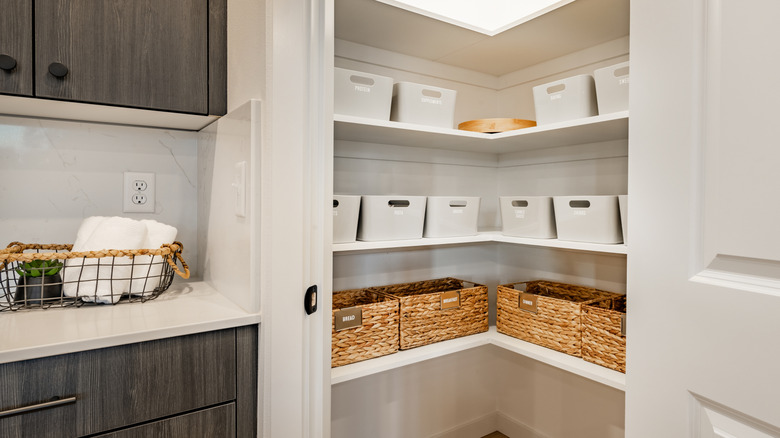 storage containers in kitchen pantry