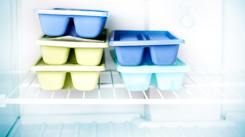Ice cube trays in the freezer