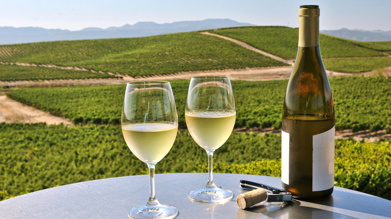 white wine with vineyards