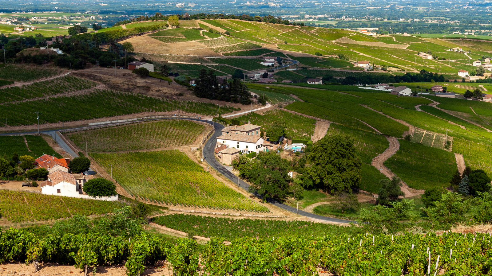 A Guide To The 10 Crus Of France's Beaujolais Wine Region