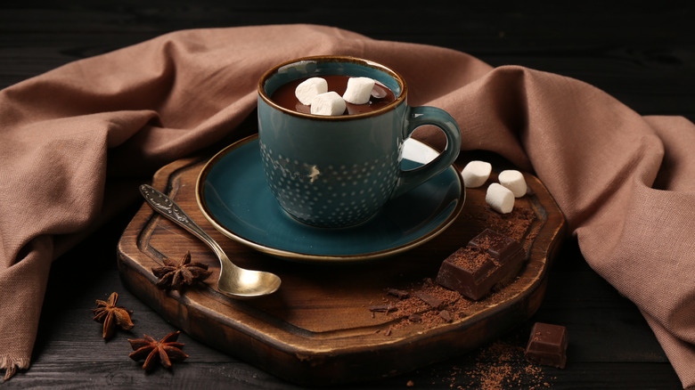 A mug of hot chocolate with marshmallow