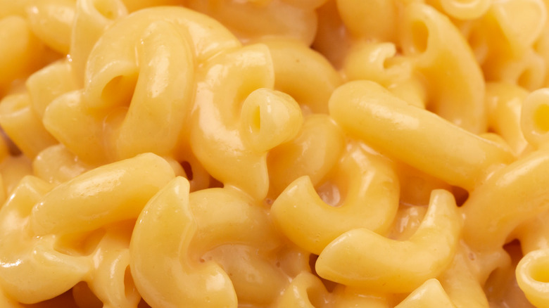 Elbow macaroni noodles covered in cheese