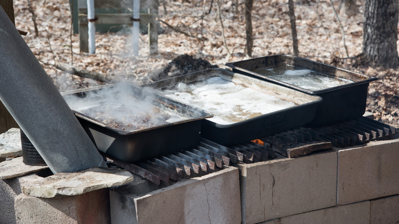 Boiling maple sap in wide mouthed pots over open fire outside