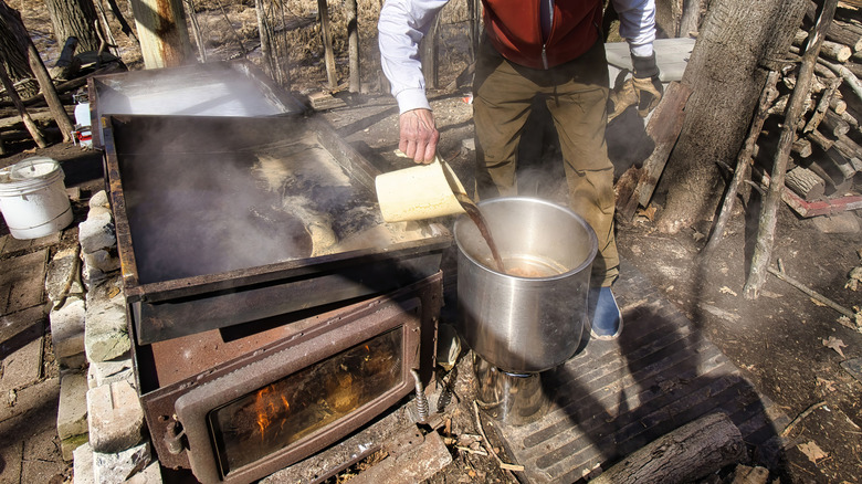 Older man pouring and boiling down maple sap outdoors