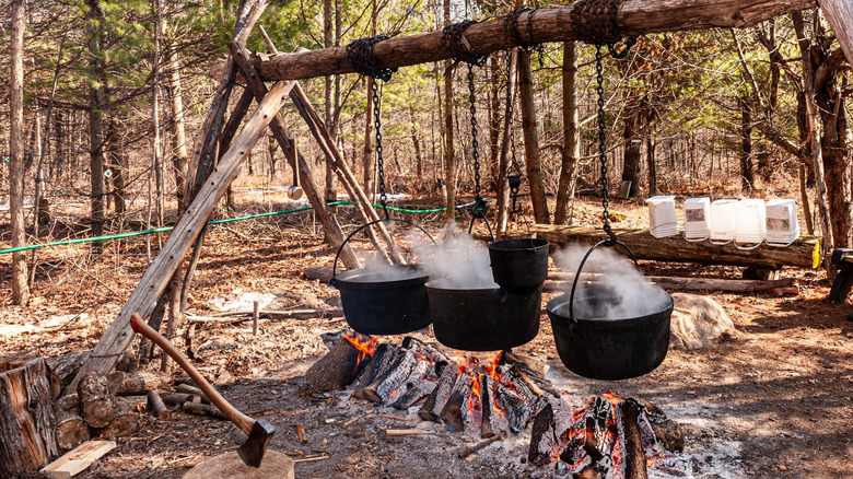 Boiling down maple syrup in three cast iron pots over open fire