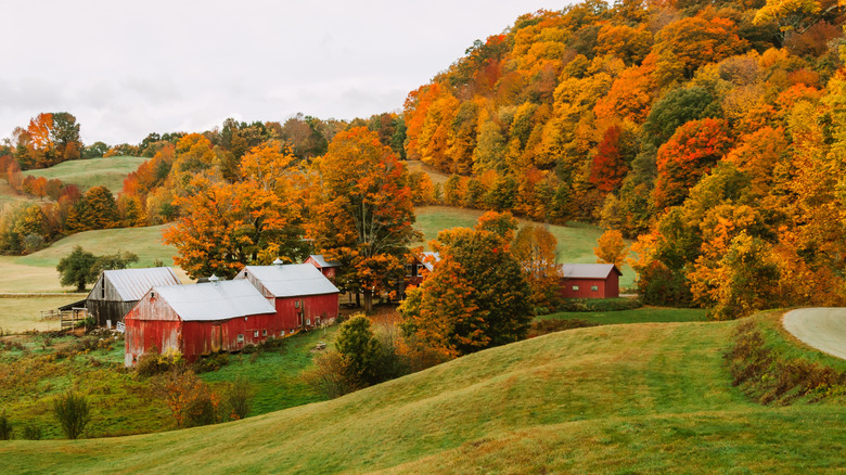 Small town in New England with a red farm and fall foliage