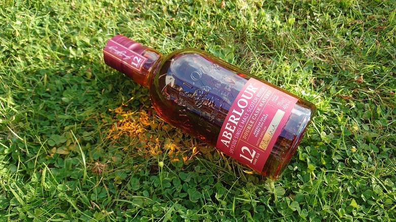 A bottle of Aberlour 12 resting on its side on grass