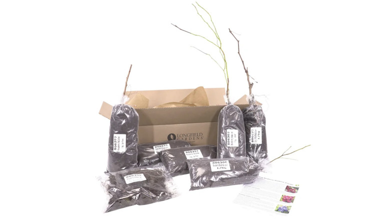 Longfield Gardens fruit plants in bags