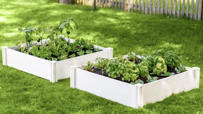 Garden beds from Costco outside on grass