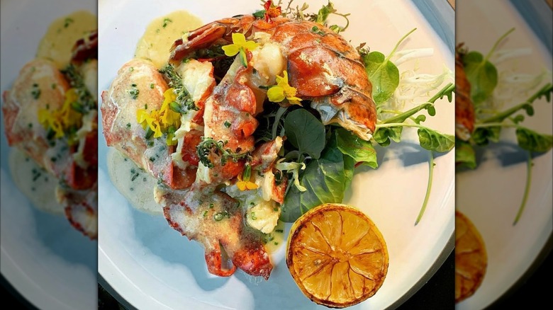 Lobster and sauce with greens and dried citrus
