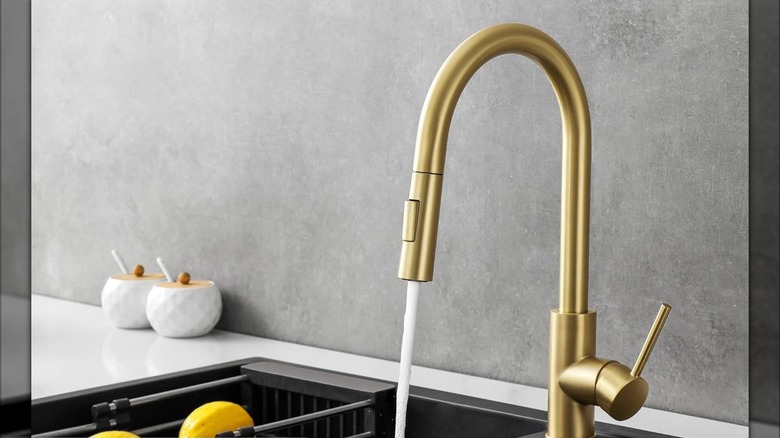 A Havin Kitchen Faucet with Pull-Down Sprayer
