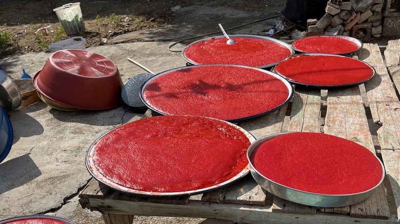 Making tomato paste in the sun