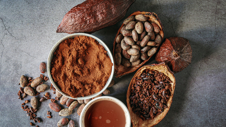 Cocoa powder with beans and pod