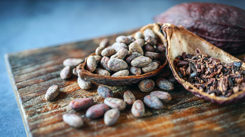 cacao beans and nibs in cacao pods