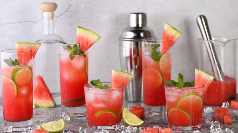 watermelon cocktails, shaker, pitcher