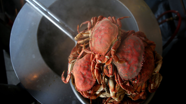 Crab boil 