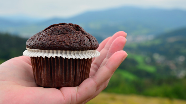 Muffin in mountains 