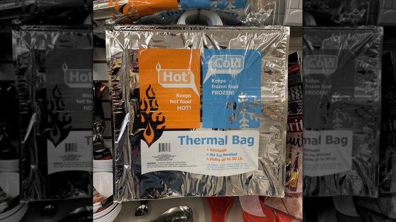 A Hot/Cold Thermal Bag at Dollar Tree.