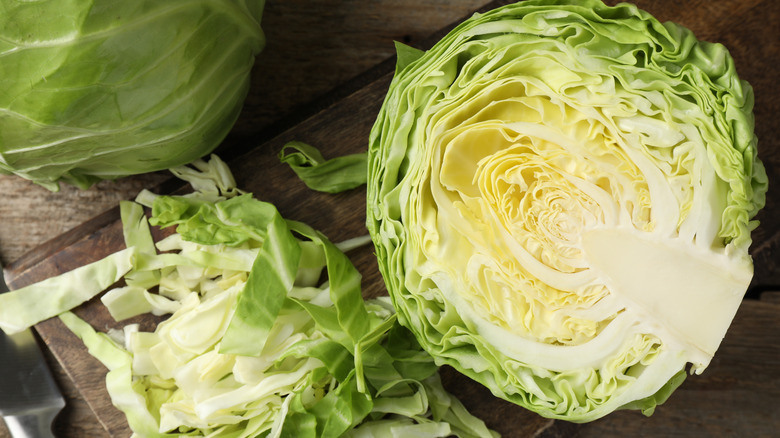 Cross section of raw head of cabbage.