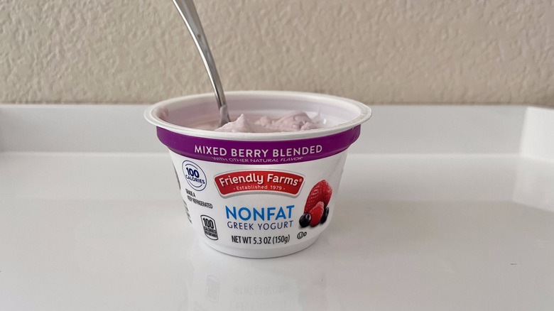 Mixed Berry Blended Non-Fat Greek Yogurt and spoon